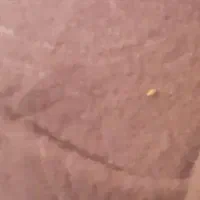 موکت