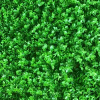 پخش گرین وال green wall|گل مصنوعی|اهواز, کیان اباد|دیوار