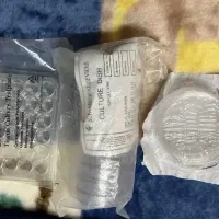 ظرف یکبار مصرف