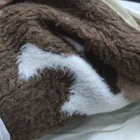 ۸ عدد پتو|رختخواب، بالش، پتو|اراک, |دیوار