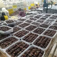 خرمای نخلستان طلایی+ خرما شکلاتی مغزدار