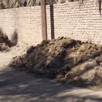 کودگاوی خالص محلی|خدمات باغبانی و درختکاری|بم, |دیوار