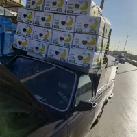 پیکان وانت مدل ۸۱