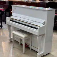 Piano New Collection 2024|پیانو، کیبورد، آکاردئون|تهران, تجریش|دیوار
