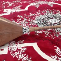 دوتار کاسه بزرگ استادی درجه یک به فروش میرسه|سازهای سنتی|سبزوار, قصبه غربی|دیوار