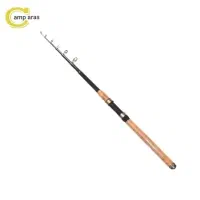 لنسر ماهیگیری