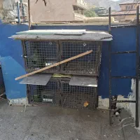 جفت کن آهنی 4 تایی کبوتر