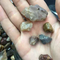 عقیق شجر،یمنی، مناسب برای جواهر سازی و کالکشنر|جواهرات|ساری, |دیوار
