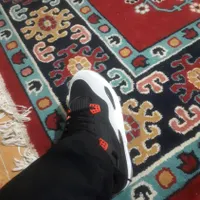 کفش سایز۴۳