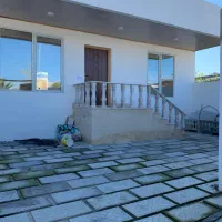 ویلا-نقلی-جنگلی-با-سند-تک-برگ