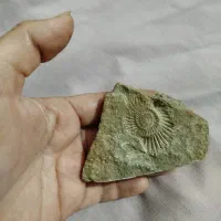 سنگهاهدیه خداوند ب طبیعت|کلکسیون اشیاء عتیقه|مود, |دیوار