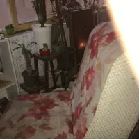 صندلی|صندلی و نیمکت|گلبهار, شهر جدید گلبهار|دیوار