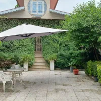چند نوع درخت کاج ۱۰ ساله و خرمالو و گل یخ به فروش