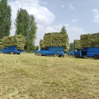 فروش یونجه درجه یک انباری