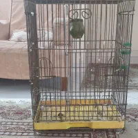 قفس آهنی بزرگ بسیارمحکم مناسب کاسکووپرنده