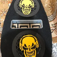 ۲ عدد میدرنج درحد نو به همراه یک ظبط درحد نو