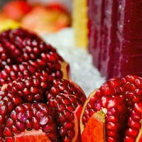 نهـال سـازگار  اقلــیــم مختـلف کشـور