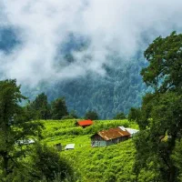 دربستی از ماسال به تمام نقاط کشور|خدمات حمل و نقل|ماسال, |دیوار