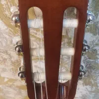 گیتار|گیتار، بیس، امپلیفایر|زاهدان, |دیوار