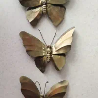 پروانه وگل
