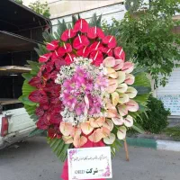 پخش تاج گل های تبریک تسلیت افتتاحیه|خدمات پذیرایی، مراسم|تهران, الهیه|دیوار
