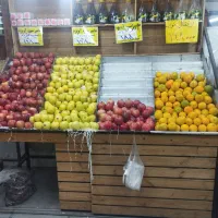 پالت میوه|عمدهفروشی|تهران, مدائن|دیوار