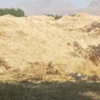 کاه فروش