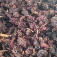 کشمش افتابی