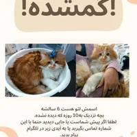 گم شده لطفا بخوانید