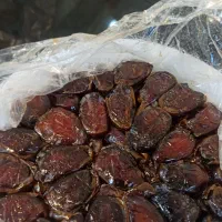 خرمای خوزستان