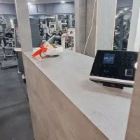 نیروی کار مرد برای باشگاه بدنسازی