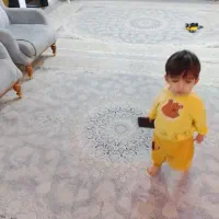 مبل راحتی وفرش برجسته|فرش|محمدشهر, محمدشهر|دیوار