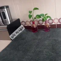 زیرسفره ونمگیر ضد اب|سفره، حوله، دستمال آشپزخانه|ایلام, |دیوار