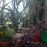 فقط تماس پاسخ میدهم|حراج|قزوین, |دیوار