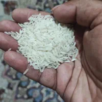 برنج تایلندی درجه یک