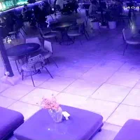 استخدام ویتر و باریستا