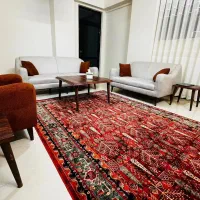 قالی طرح دست بافت|فرش|اهواز, زندوکیلی|دیوار