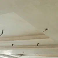 گچ کاری گچکار|خدمات پیشه و مهارت|دماوند, گیلاوند|دیوار