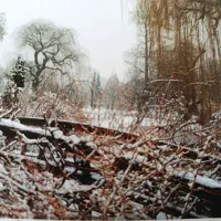 نظافت منازل - راه پله - مراقبت از سالمند|خدمات نظافت|پیر بکران, |دیوار