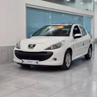 ۲۰۷ تیوتری خشک