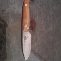 چاقو دسته شاخ کلکسیونی