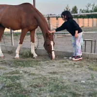 باشگاه سوارکاری لیانا