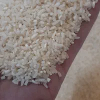 انواع برنج ایرانی و هندی|خوردنی و آشامیدنی|محمدشهر, ولدآباد|دیوار