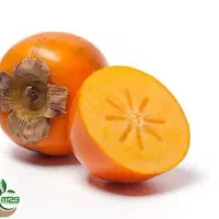 پیش فروش نهال خرمالو امریکایی|خدمات باغبانی و درختکاری|ازگله, |دیوار