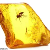 سنگ کهربا اصل