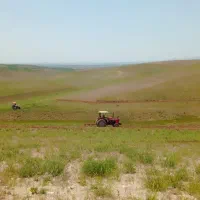 زمین کشاورزی دیم ۱۲ تغار سند دار(۱۲کیسه)|فروش دفتر صنعتی، کشاورزی، تجاری|دیواندره, |دیوار