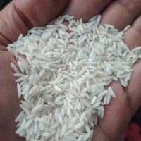 برنج هاشمی بدون سم