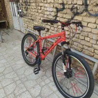 دوچرخه|دوچرخه، اسکیت، اسکوتر|لاران, |دیوار