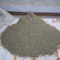 آویشن پهن کوه کورده لار