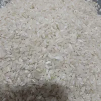برنج چمپا